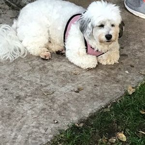 Meet your Posher, Yolanda